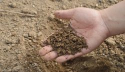 Sposoby odkażania gleby