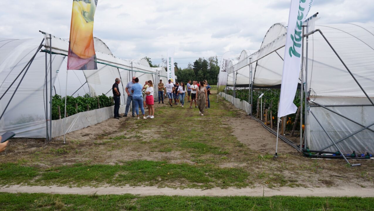 Spotkanie "Przystanek Papryka" w gospodarstwie Andrzeja Krzywkowskiego w 2024 r. (fot. AW)