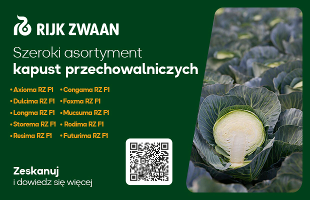 Rijk Zwaan Kapusty przechowalnicze_620x400 nowy sierpień 2025
