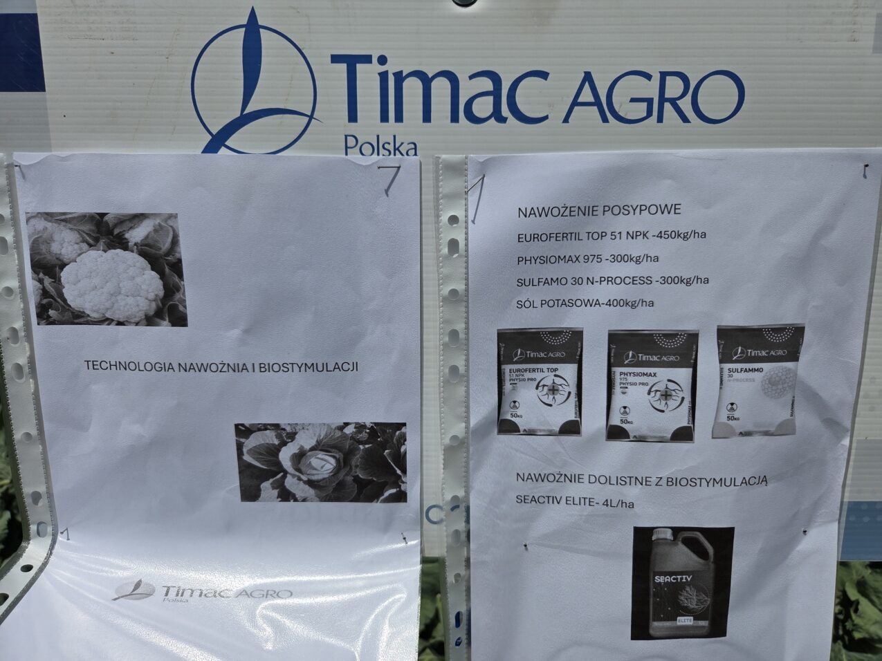 Ściąga z nawożenia kalafiorów na plantacji w Tropiszowie (fot. PB)