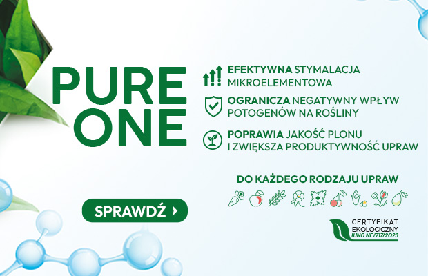 Insignes-Lab 620x400_pure_one