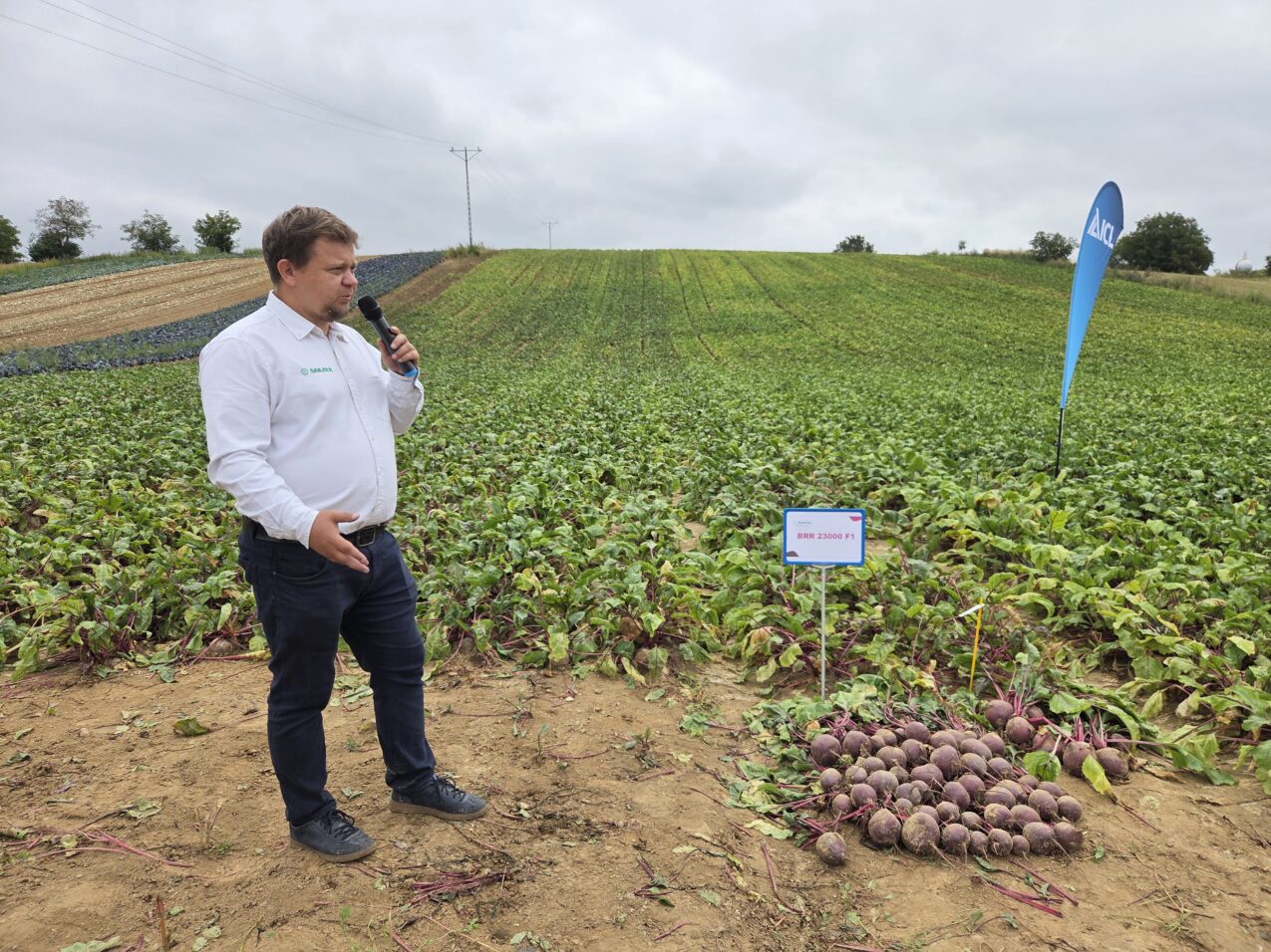 Łukasz Rudecki omówił odmiany buraka ćwikłowego, fot. PB