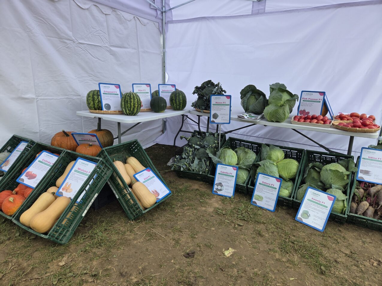 Stoisko wystawowe firmy Sakata, fot. PB