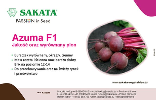 Sakata reklama_AZUMA (002)