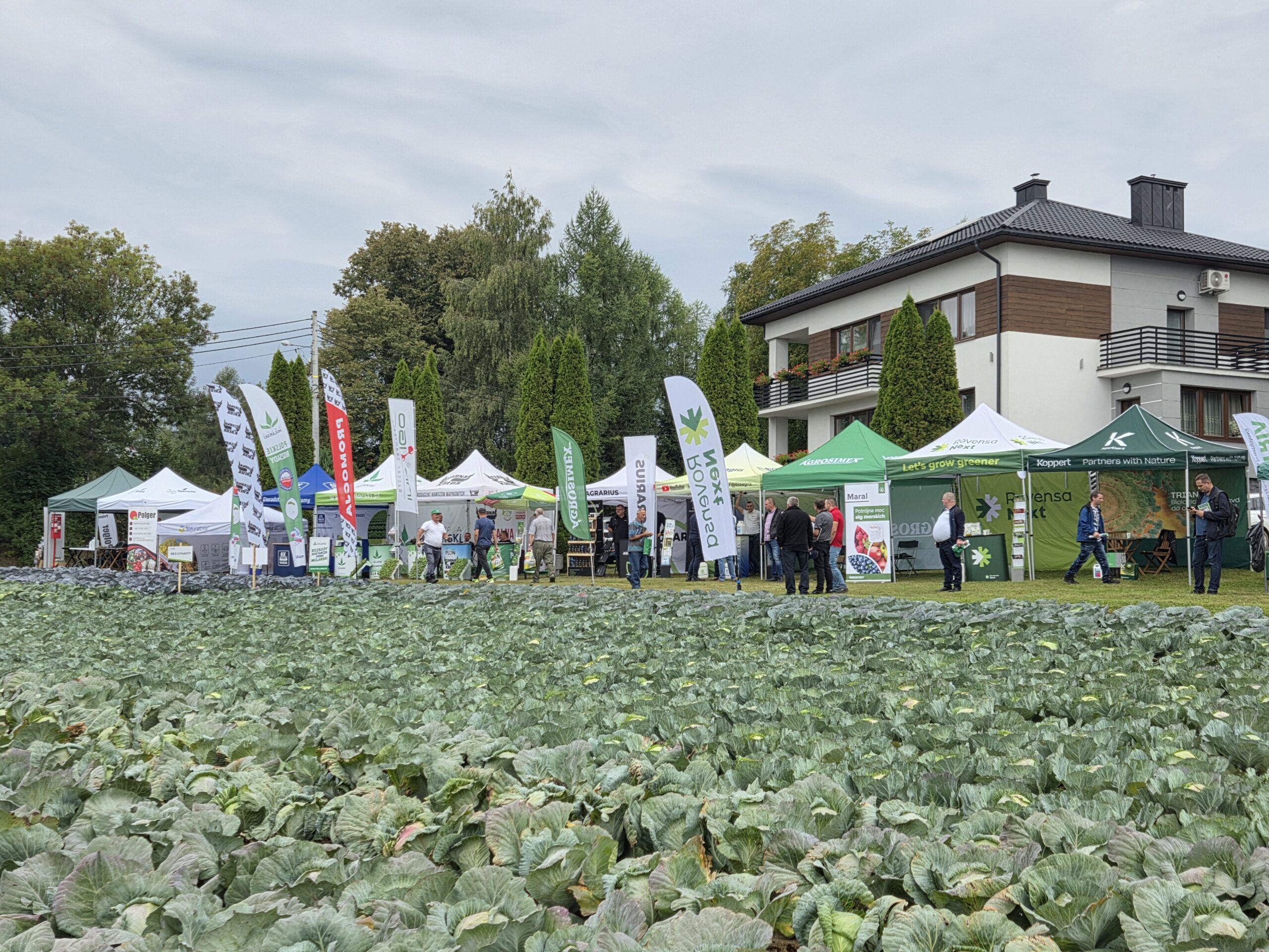 Dni kapusty w Charsznicy (fot. AW)