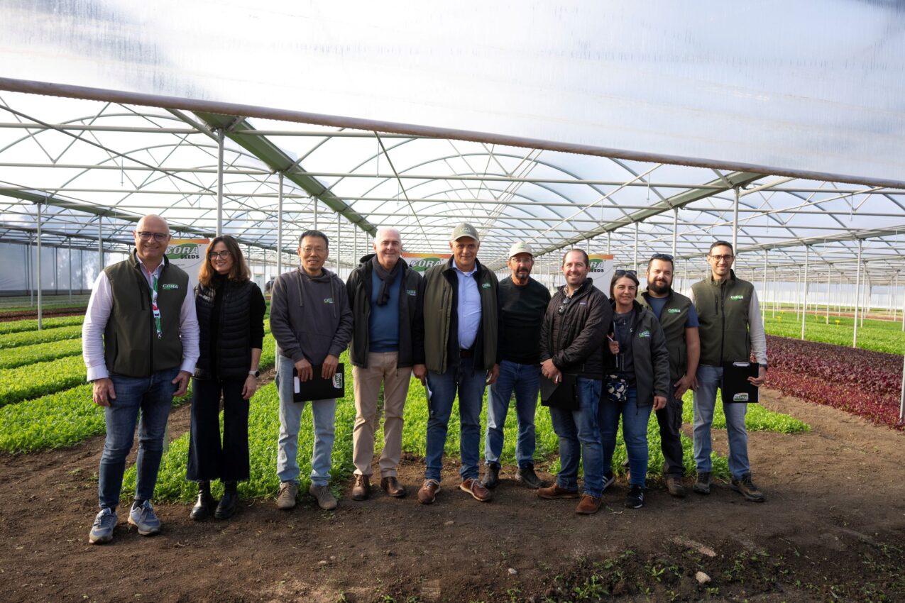 Załoga firmy Cora Seeds podczas dnia otwartego - pokazu odmian warzyw uprawianych na młode liście, czyli Baby Leaf (fot. Cora Seeds)
