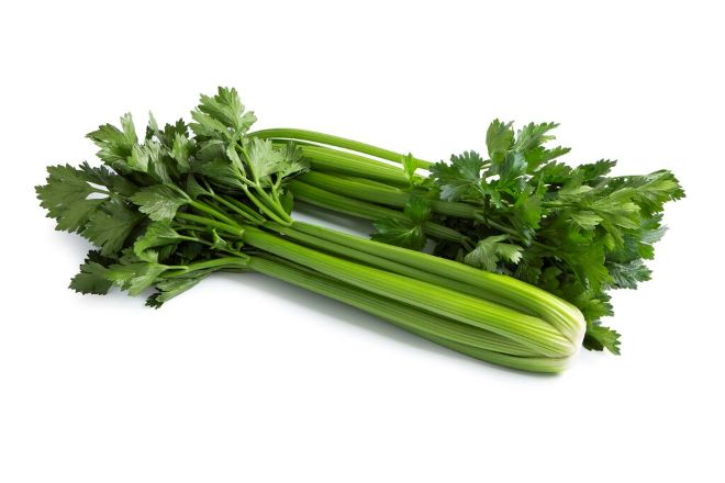 Seler naciowy Cloverdale (fot. RZ)