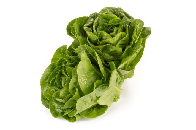 Sałata rzymska mini Rawonder (fot. RZ)