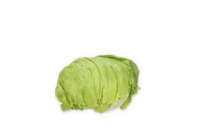 Sałata krucha Sendanas (fot. RZ)