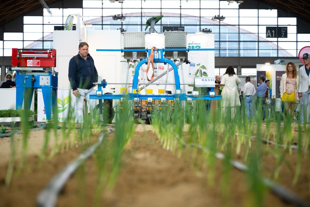 Młode rośliny pora, linie nawadniające, poletko pokazowe na targach Macfrut (fot, Macfrut)