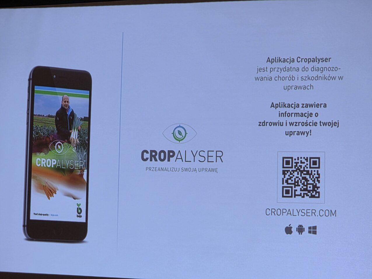 Aplikacja Cropalyser jest przydatna przy monitoringu upraw przed chorobami i szkodnikami, fot. PB
