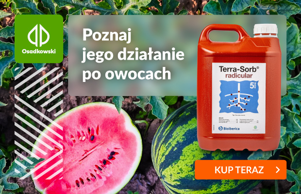 Osadkowski Banner Terra Sorb Radicular (art Arbuz)