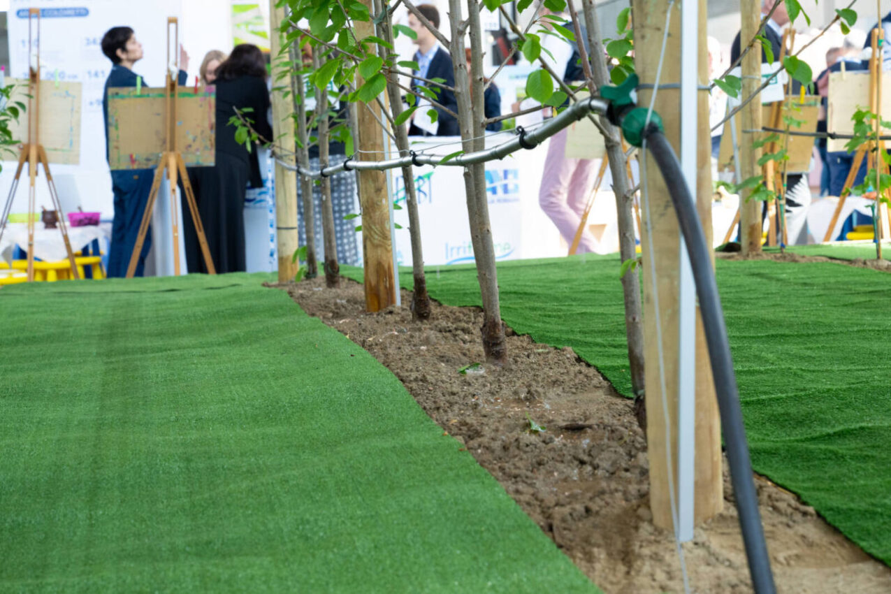 Pokazowe poletko sadownicze na targach Macfrut (fot. Macfrut)