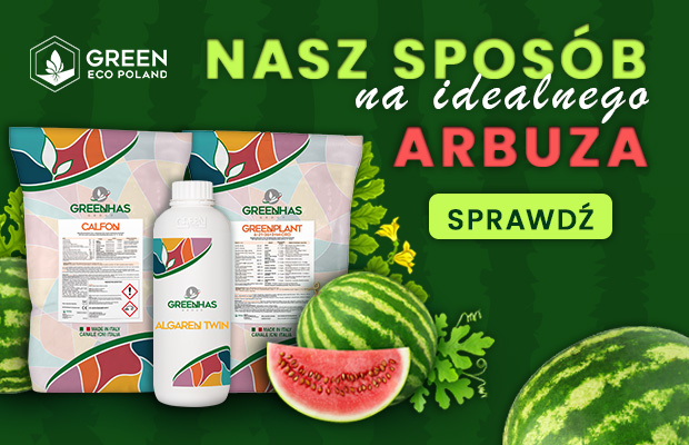 Green Eco Poland Banner arbuz