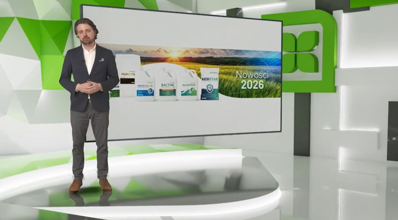 Radosław Wilk - Intermag