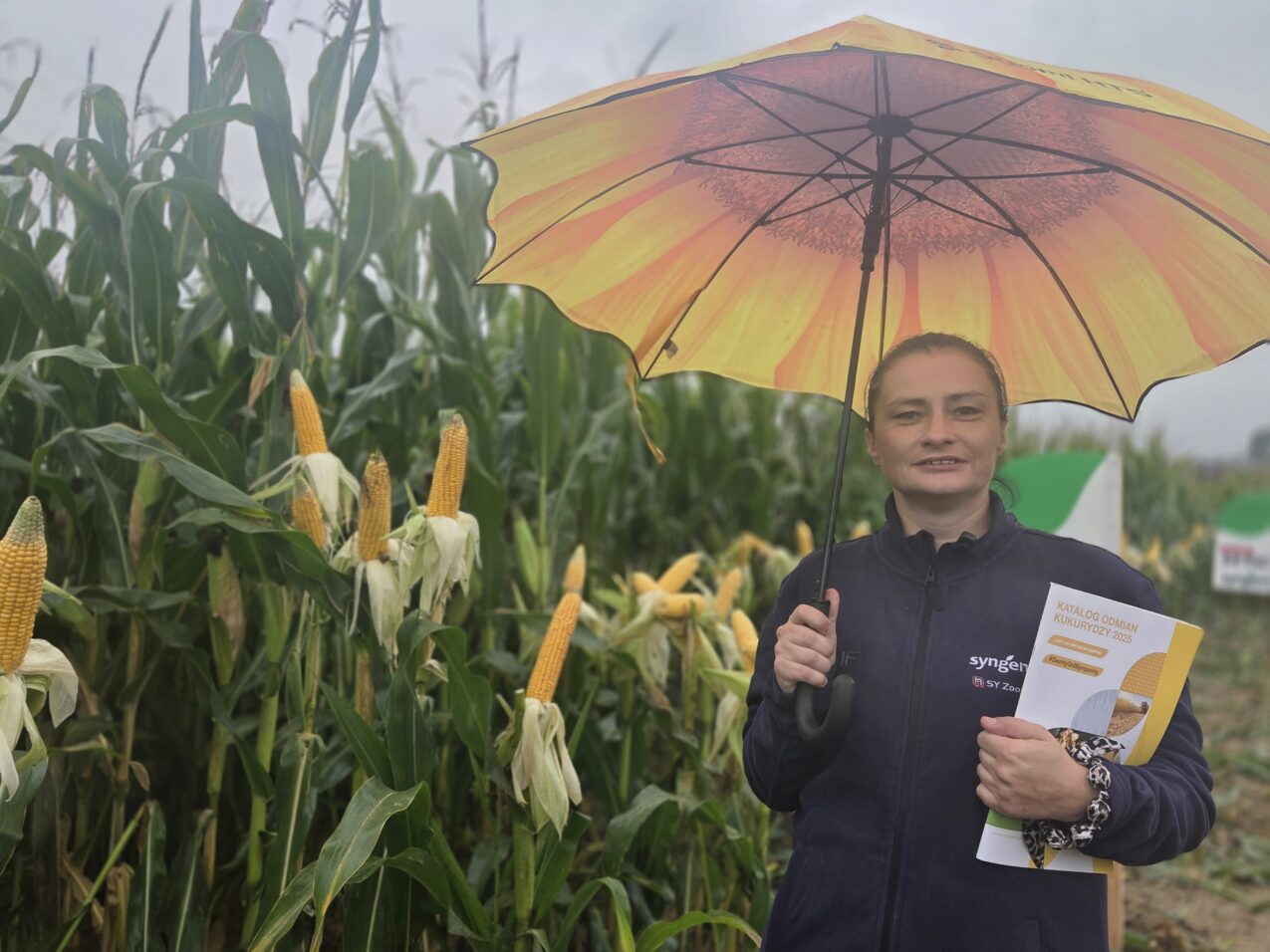 Odmiany kukurydzy omówiła Jolanta Majcher z Syngenta