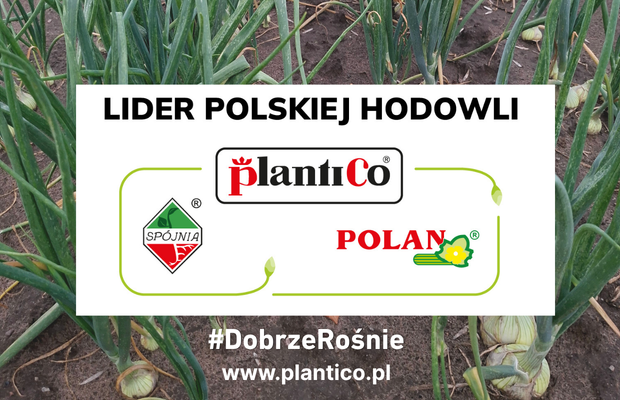 PlantiCo