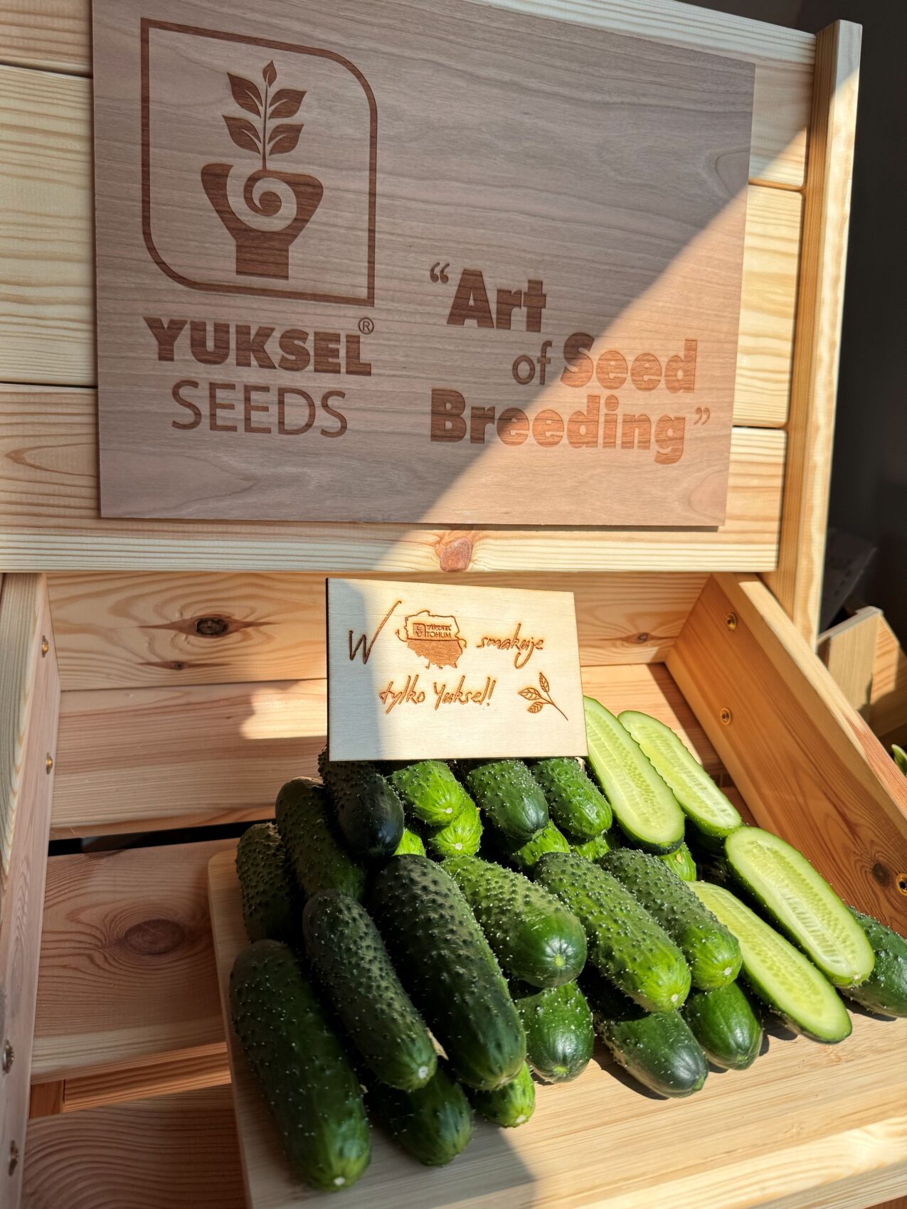 Ogórek Capricorn 311 F1 Yuksel Seeds