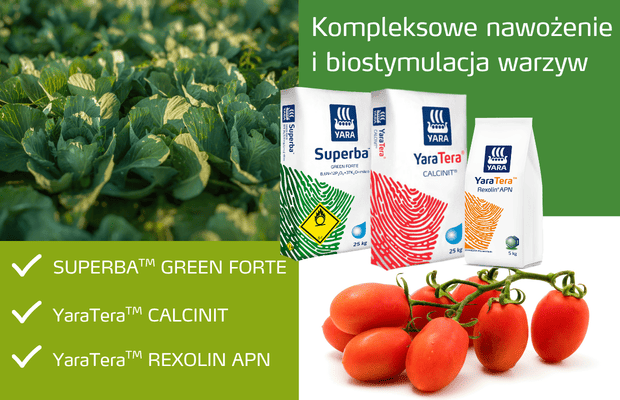 Nawożenie i biostymulacja warzyw, Yara Poland