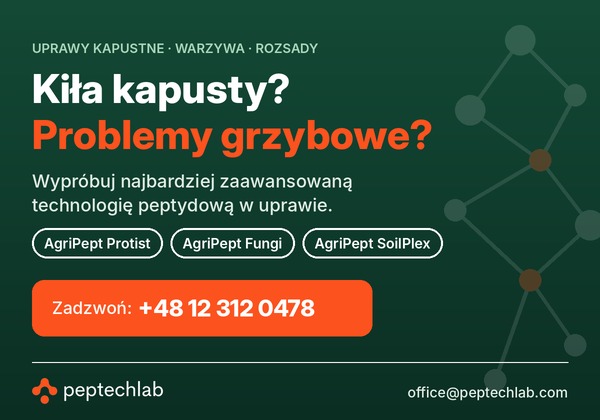 PeptechLab, kiła kapusty, uprawa kapusty, AgriPept Protist, AgriPept Fungi, AgriPept SoilPlex, technologia peptydowa, uprawa warzyw, rozsada warzyw