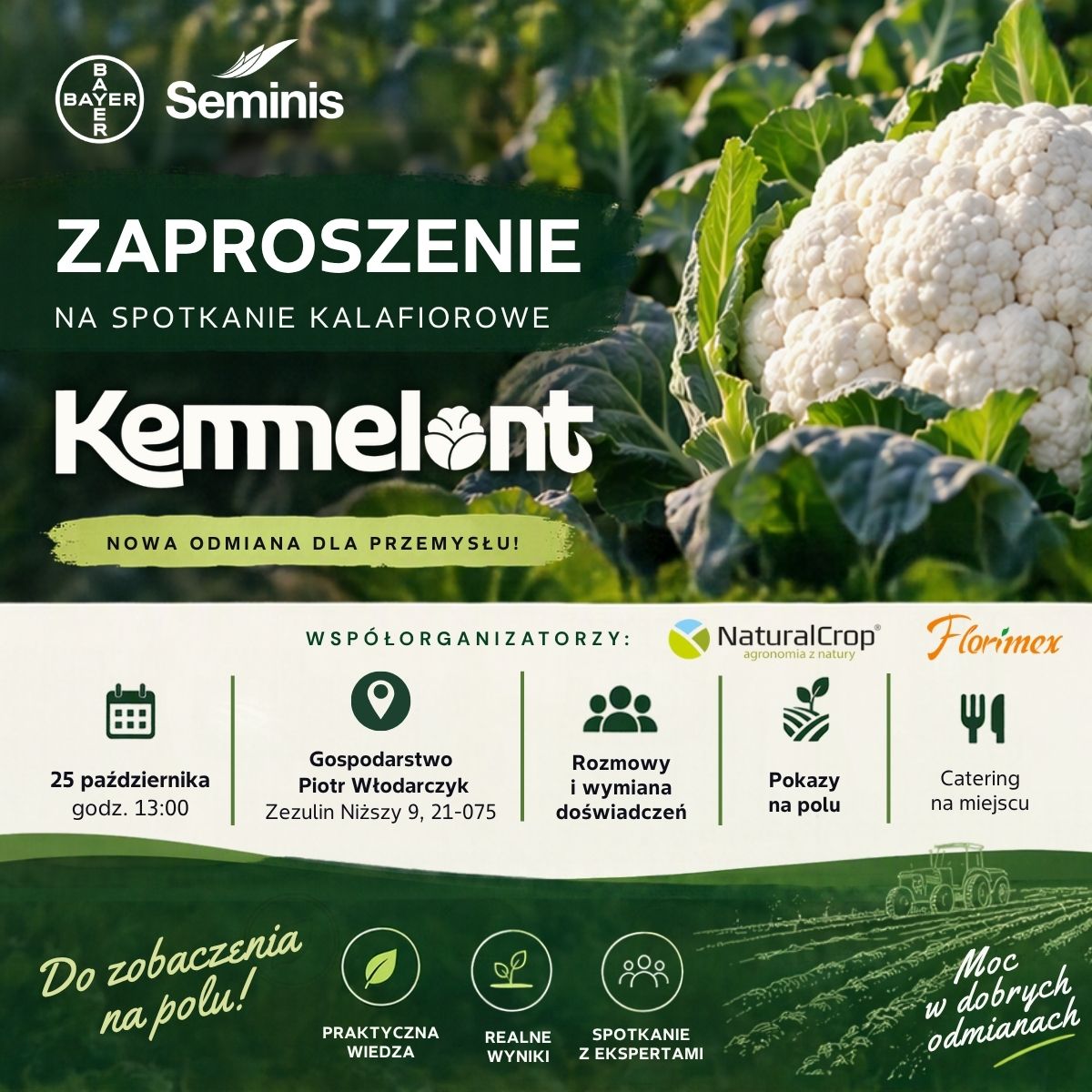 Seminis, spotkanie polowe, spotkanie kalafiorowe, nowe odmiany, Kemmelont, odmiany kalafiora, uprawa kalafiora