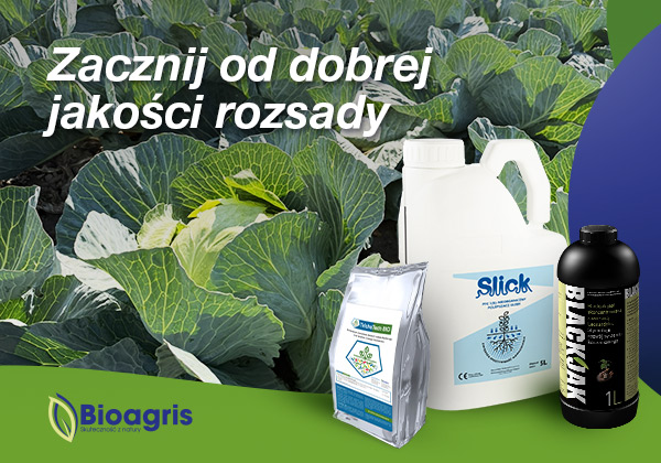 Bioagris, Slick, Black Jack, kapusta, ochrona kapusty uprawa kapusty